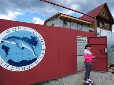 Фото ozimok.com Фото ozimok.com